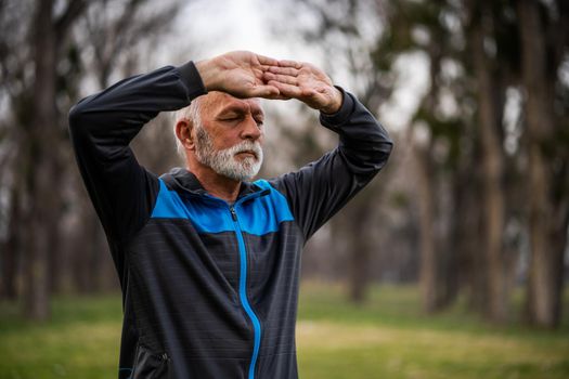 Senior man is practicing Tai Chi exercise in park.