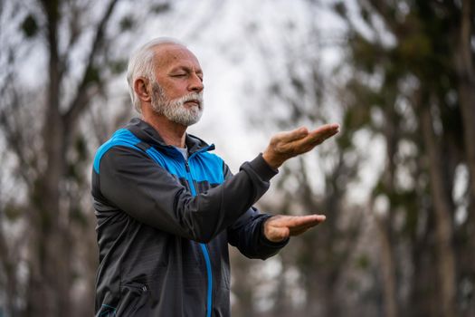 Senior man is practicing Tai Chi exercise in park.