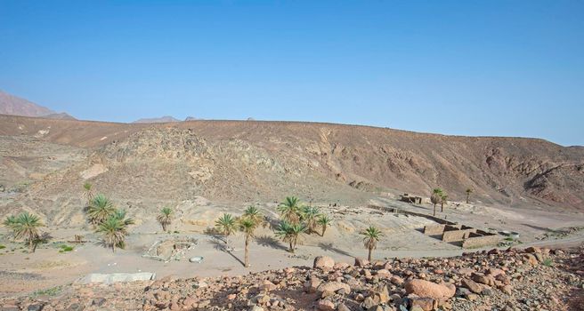 Date palm trees growing in an isolated small oasis at arid dry rocky desert valley