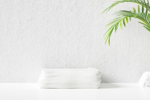 Tropical abstract background with white wall for display product. 3D rendered