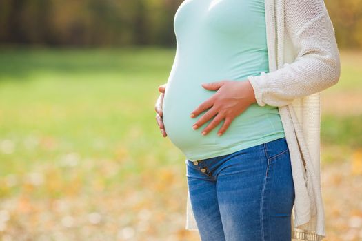 Close up of pregnant woman holding her belly in park.