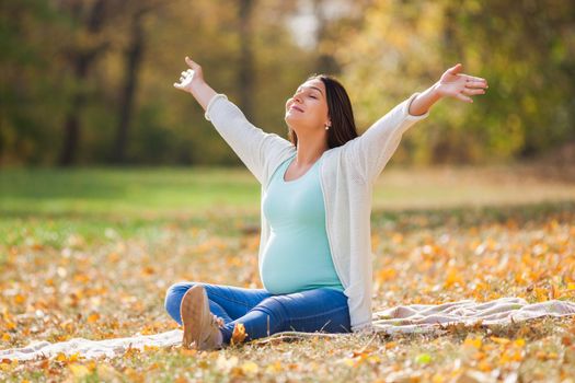 Happy pregnant woman relaxing in park.