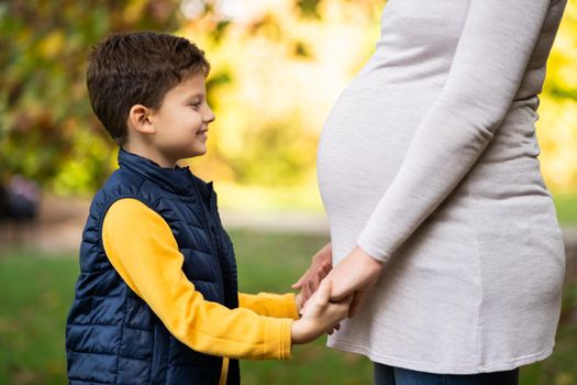 Happy boy and his pregnant mother are holding hands in park in autumn. Family relaxing time in nature.