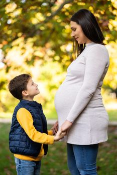 Happy boy and his pregnant mother are holding hands in park in autumn. Family relaxing time in nature.