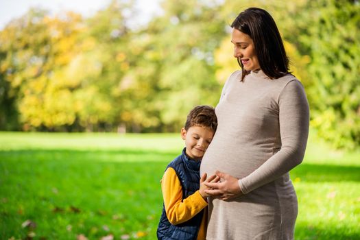 Boy is leaning on stomach of his pregnant mom in park in autumn. Family relaxing time in nature.