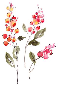 Set of flowers painted by watercolor. Isolated illustration on white background.
