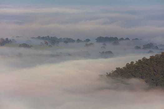 Fog in the Megalong Valley in The Blue Mountains in New South Wales in Australia