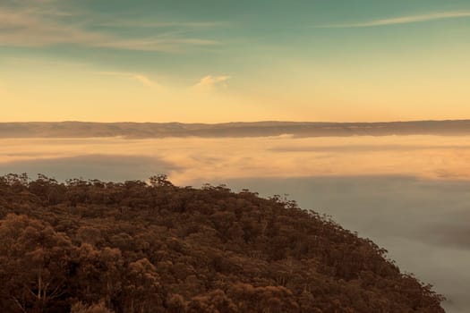 Fog in the Megalong Valley in The Blue Mountains in New South Wales in Australia