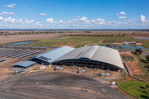 The Central West Livestock Exchange sale yards near Forbes in regional New South Wales in Australia