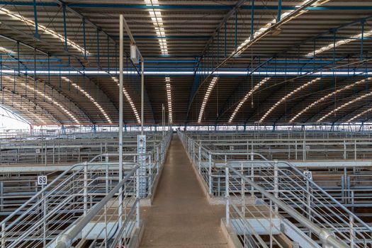 The Central West Livestock Exchange sale yards near Forbes in regional New South Wales in Australia