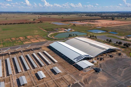 The Central West Livestock Exchange sale yards near Forbes in regional New South Wales in Australia