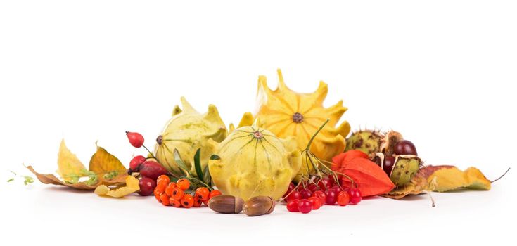 Autumn decoration arranged with dry leaves, pumpkins and more, isolated on white