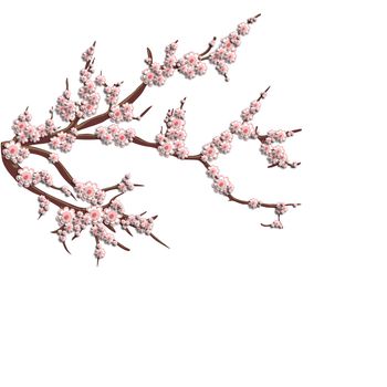 3D pink cherry blossoms on a branch. Stylish creative wallpaper. Graphic illustration.