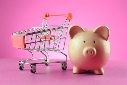 A monochromatic pink tones image concept of a piggy bank and shopping cart for many retail uses.