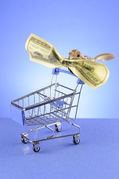 A small bird perched at the handle of a shopping cart while carrying a hundred dollar bill in its beak.