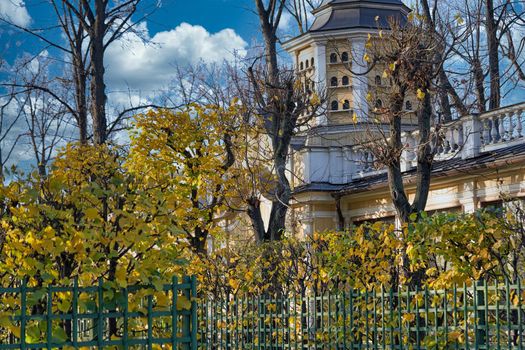 City landscape. Tower building behind autumn trees with yellow leaves