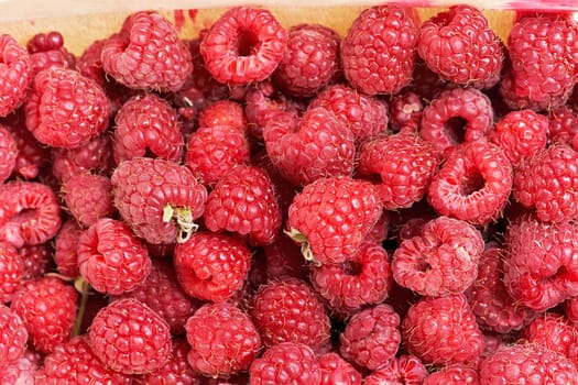 Background from a variety of red ripe raspberries. Close-up of berry harvest