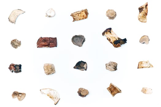 Pieces of dried mushrooms on a light background are laid out in straight lines. View from above