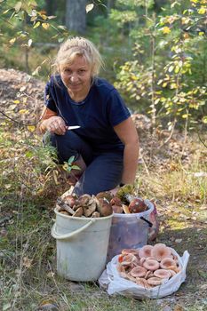 A blonde with a knife in her hand sits in the forest in front of mushrooms