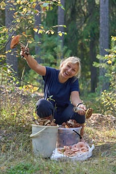 The girl sits in front of buckets of mushrooms. The blonde holds large boletus in her hands and looks at the camera