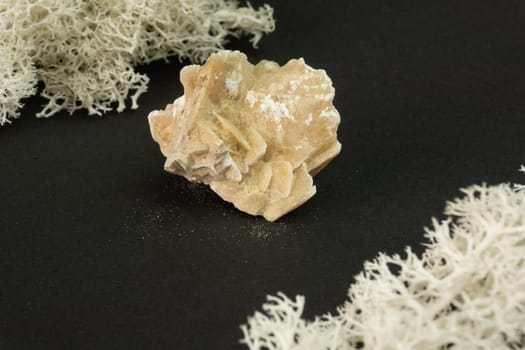 Desert rose crystal from Tunisia. Natural mineral stone on black background. Mineralogy, geology, magic of stones, semi-precious stones and samples of minerals. Close-up macro photo