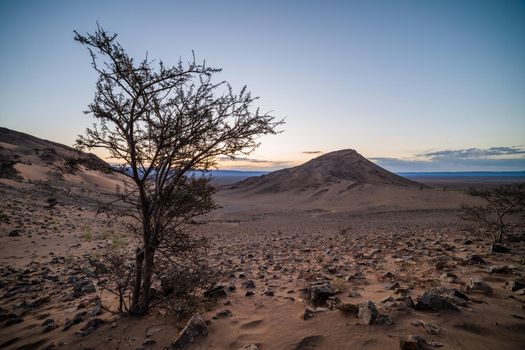 Landscape in Sahara desert early in the morning.