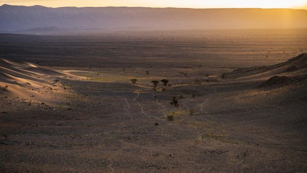 Landscape in Sahara desert early in the morning.