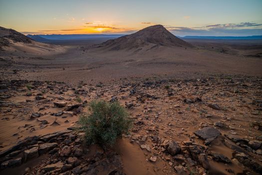 Landscape in Sahara desert early in the morning.