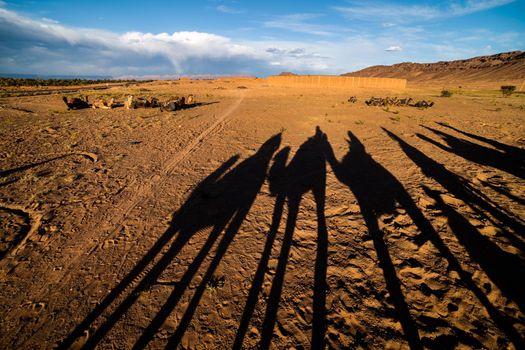 Silhouettes of camels with tourists in Sahara desert.