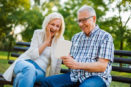 Happy senior couple is using digital tablet in park.