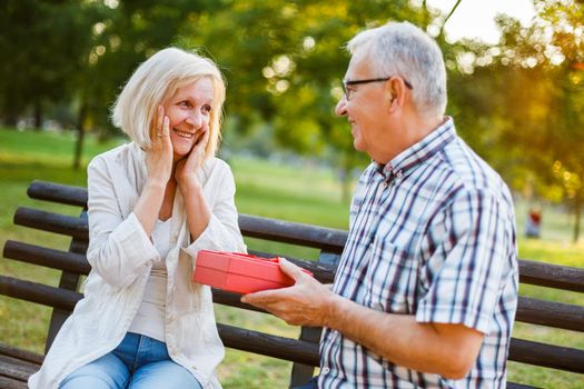 Senior woman is delighted with gift from her man.