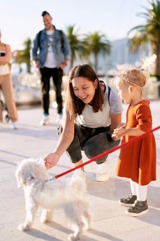 Mother and daughter are playing with a small white furry dog on a pier on a sunny day. High quality photo