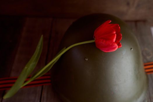 The red tulip flower rests on a soldier's helmet. The pine background. High quality photo