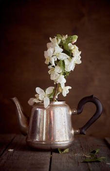 A branch of an apple tree in an iron kettle on a crowning background. With copy space. High quality photo