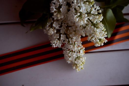 Blossoming lilacs with St. George ribbon on a white background. High quality photo