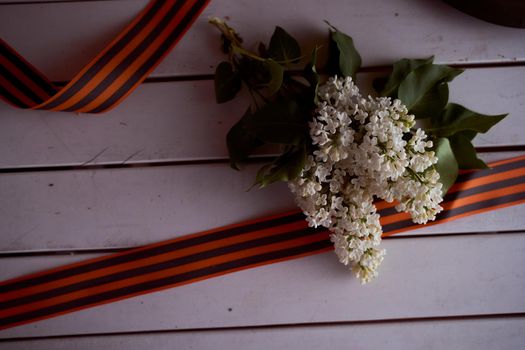 Blossoming lilacs with St. George ribbon on a white background. High quality photo