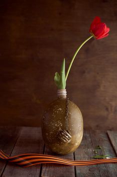 Red tulip in a soldier's military flask with St. George ribbons. High quality photo