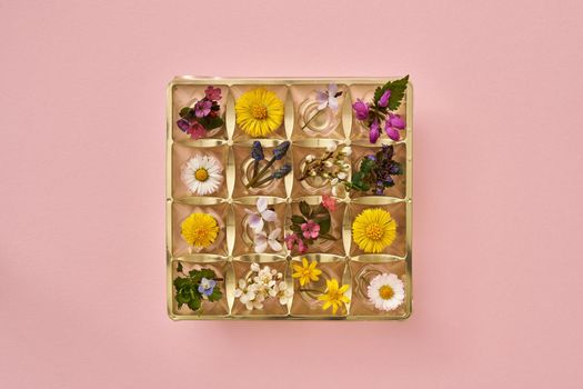 Spring concept - empty box of chocolates filled with various wild plants growing in april