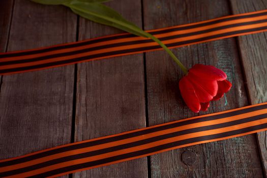 The red tulip lies between the St. George ribbons. 9 may ribbon. Wooden background. High quality photo