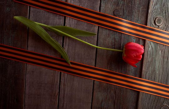 The red tulip lies between the St. George ribbons. 9 may ribbon. Wooden background. High quality photo