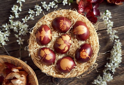 Easter eggs dyed with onion skins in a basket with spring blossoms, top view