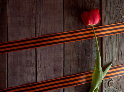 The red tulip lies between the St. George ribbons. 9 may ribbon. Wooden background. High quality photo