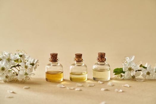 Three bottles of essential oil with blooming tree branches in spring on pastel yellow background, with copy space