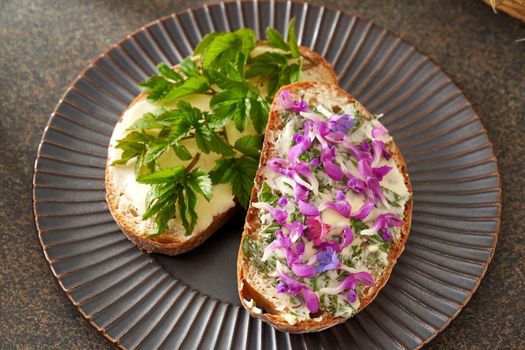 Two slices of bread with wild edible spring plants - goutweed leaves, purple dead-nettle and lungwort flowers on a dark plate
