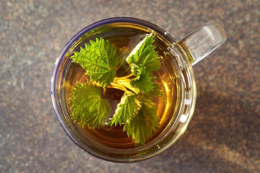 Fresh young nettles in a cup of herbal tea, top view