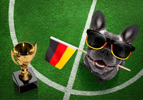 soccer french bulldog  dog playing with leather ball  , on football grass field with german , germany flag