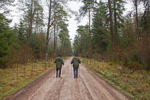 Elderly couple walking along footpath trail through a remote woodland forest in rural countryside landscape during winter