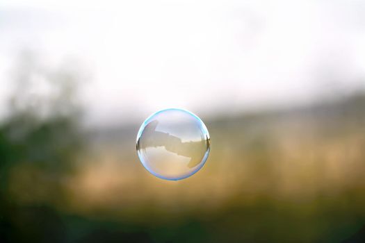 Soap bubble on the background of grass, trees and sky