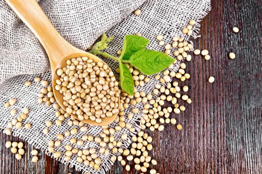 Soy beans in spoon, green leaf on burlap on dark wooden board background from above