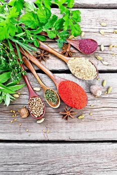 Hot pepper, ginger, coriander, dried thyme and sumac in spoons, nutmeg, cardamom, star anise and fenugreek, rosemary, parsley, thyme, mint and savory on background of an old wooden board from above